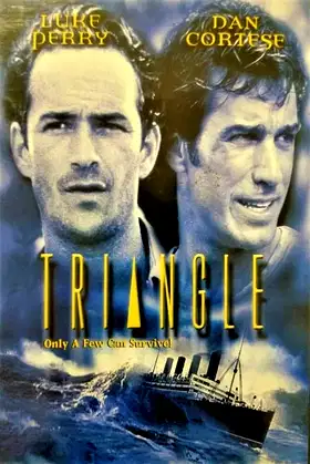 The Triangle poster