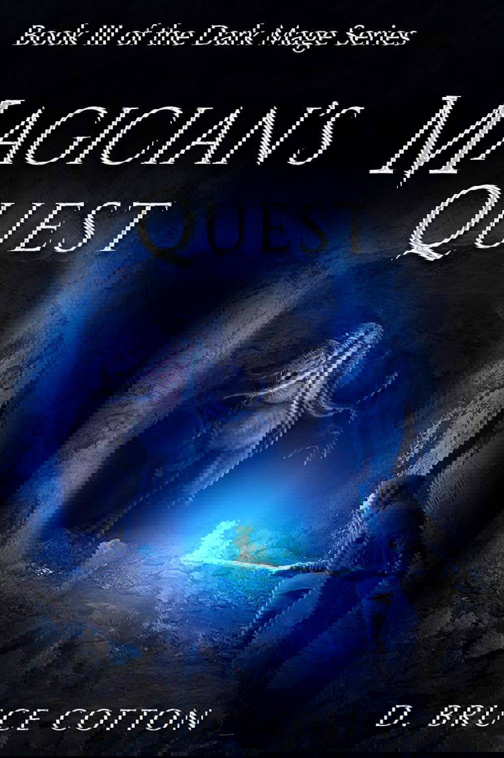 Magician's Quest (The Dark Mage Series Book 3) poster