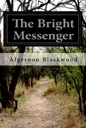 The Bright Messenger poster