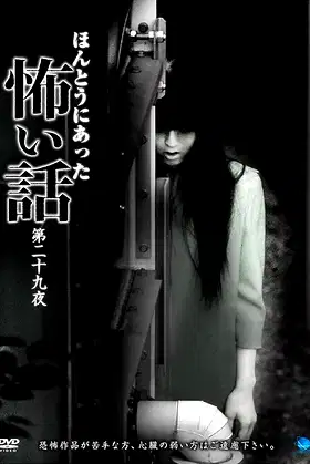 Scary True Stories: Night 29 poster