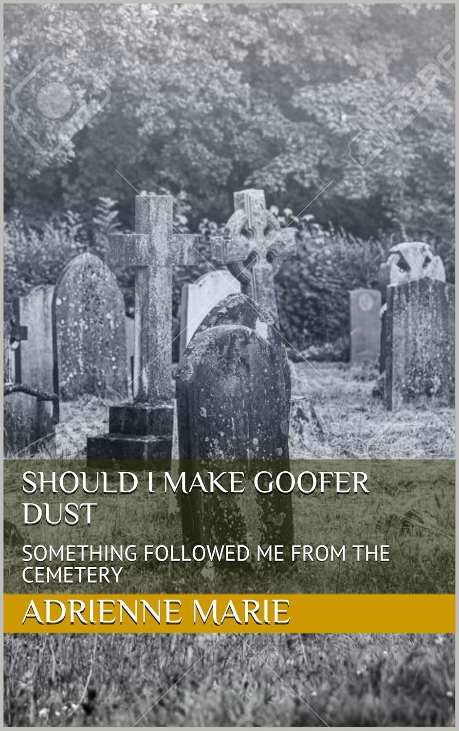 SHOULD I MAKE GOOFER DUST: SOMETHING FOLLOWED ME FROM THE CEMETERY poster