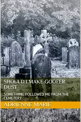 SHOULD I MAKE GOOFER DUST: SOMETHING FOLLOWED ME FROM THE CEMETERY poster