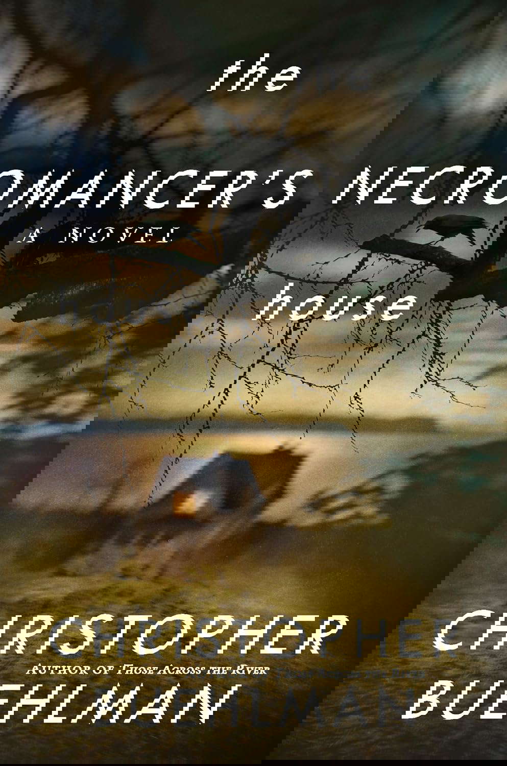 The Necromancer's House poster