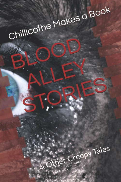 BLOOD ALLEY STORIES: CHILLICOTHE MAKES A BOOK poster