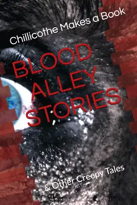 BLOOD ALLEY STORIES: CHILLICOTHE MAKES A BOOK poster