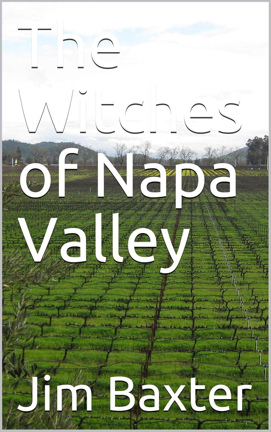 The Witches of Napa Valley poster