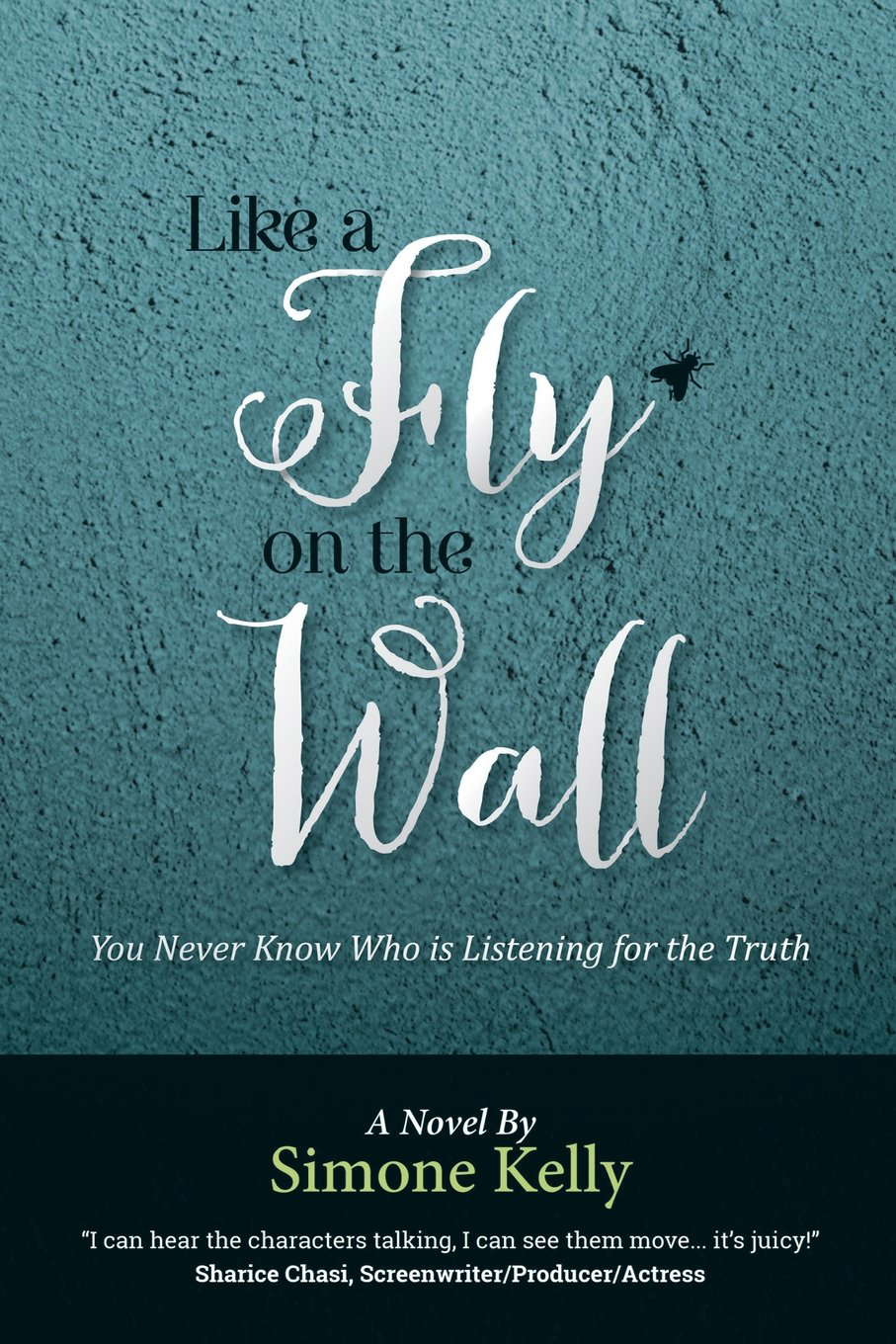 Like a Fly on the Wall poster
