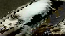 episode poster