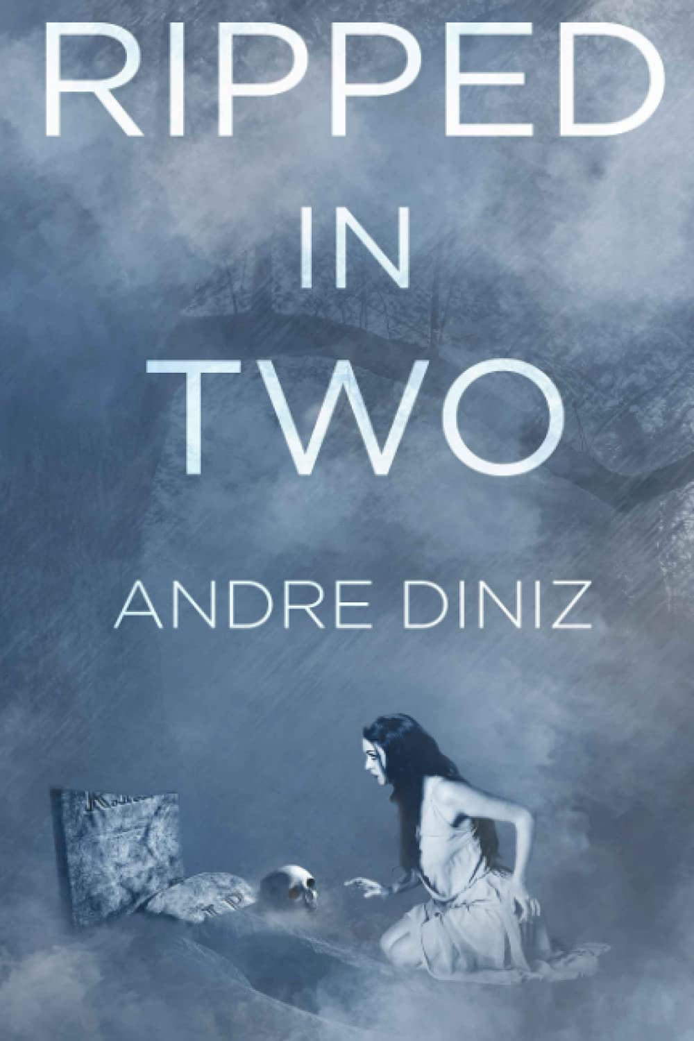 Ripped in Two: A Torn Skin Universe Novel poster