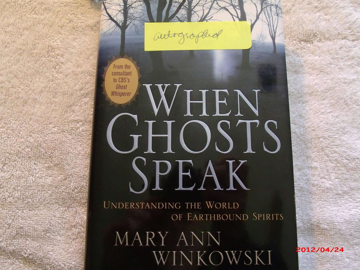 When Ghosts Speak: Understanding the World of Earthbound Spirits poster