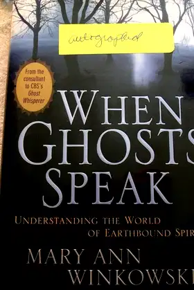 When Ghosts Speak: Understanding the World of Earthbound Spirits poster