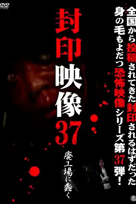 Sealed Video 37: Wriggle in an Abandoned Factory poster