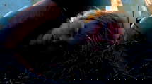 episode poster