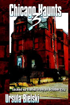 Chicago Haunts 3: Locked up Stories from an October City poster