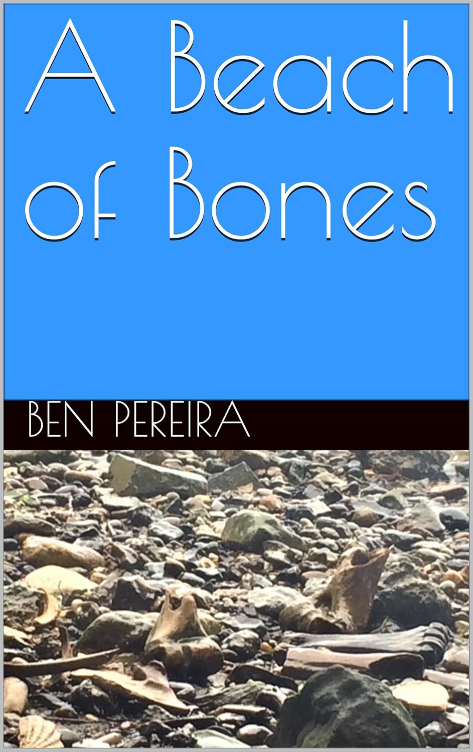 A Beach of Bones poster