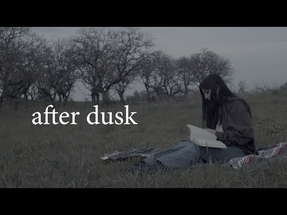 After Dusk poster