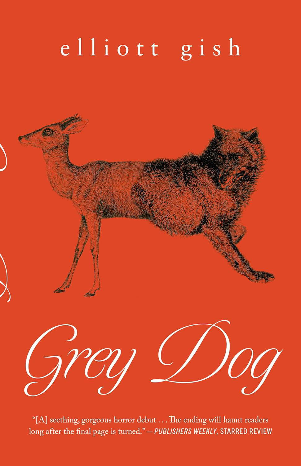 Grey Dog poster