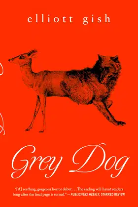 Grey Dog poster