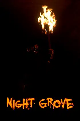 Night Grove poster