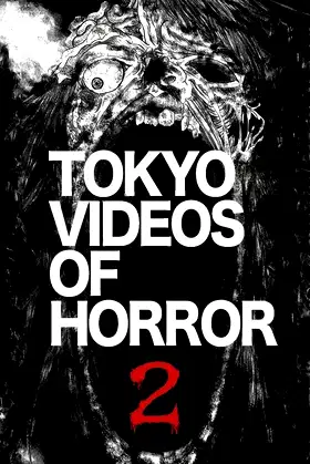 Tokyo Videos of Horror 2 poster