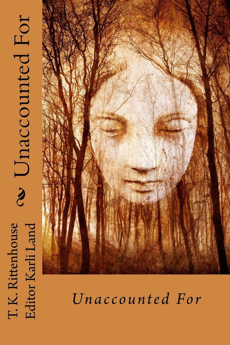 Unaccounted For poster