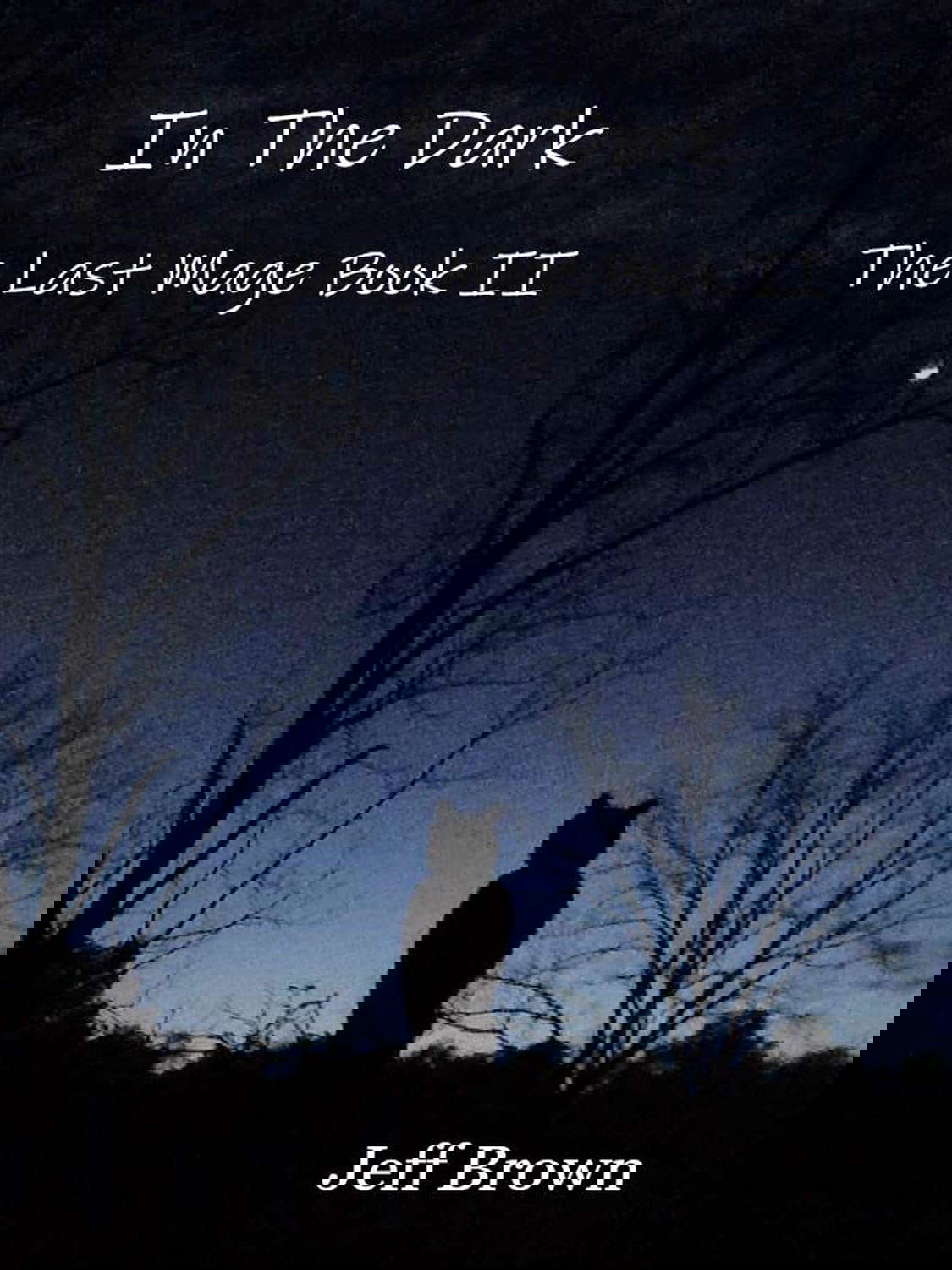 In The Dark: The Last Mage Book II poster