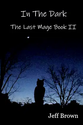In The Dark: The Last Mage Book II poster