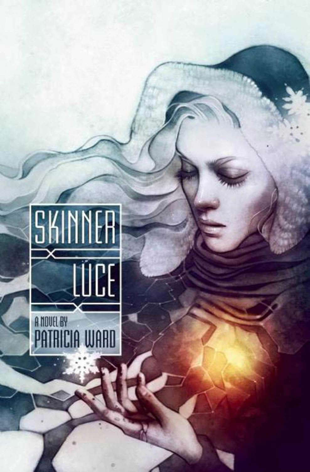 Skinner Luce: A Novel poster