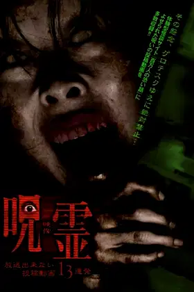 13 Submitted Ghost Videos That Cannot be Broadcast poster