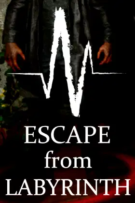 Escape from Labyrinth poster
