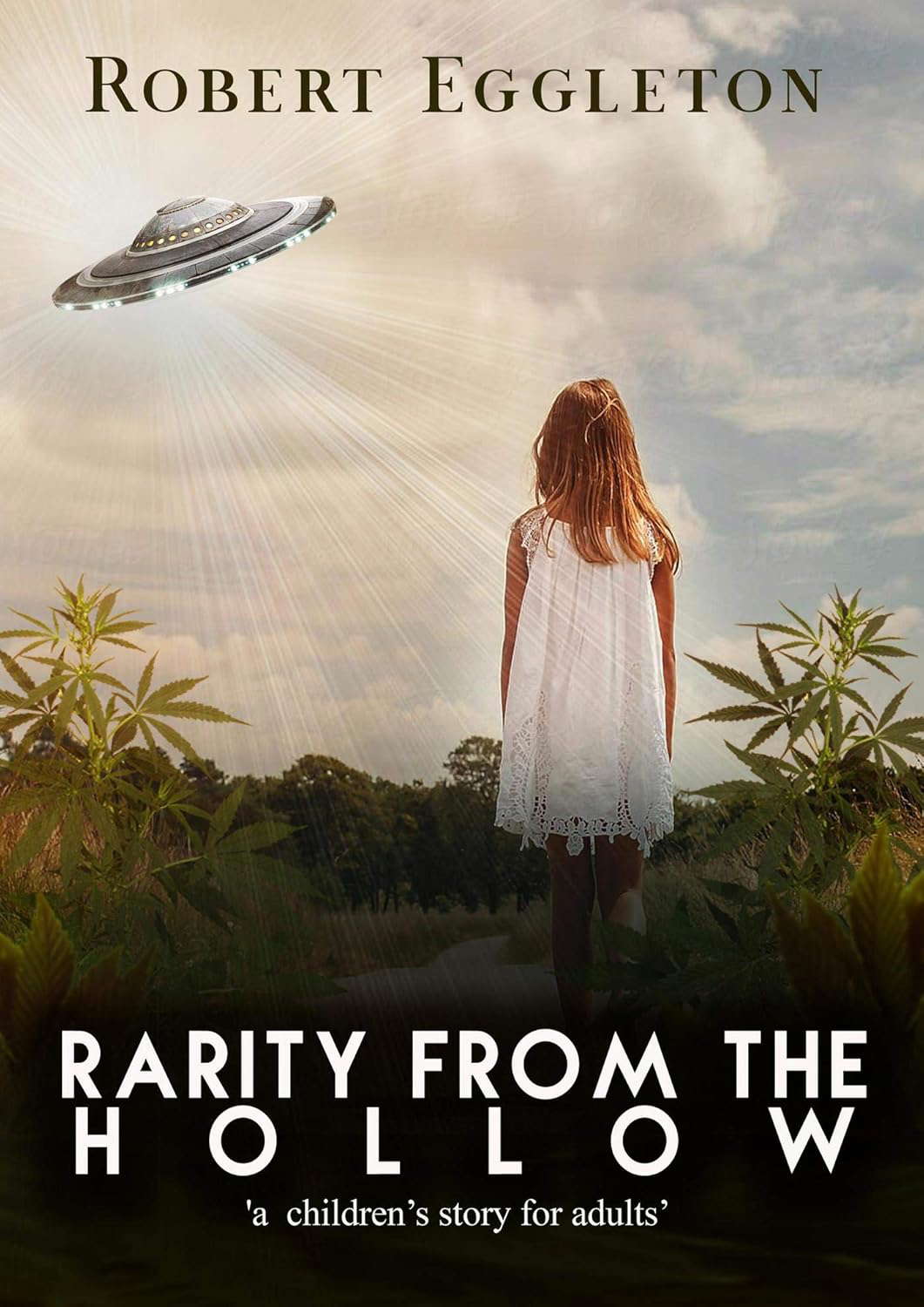 Rarity from the Hollow (Lacy Dawn Adventure, # 1) poster
