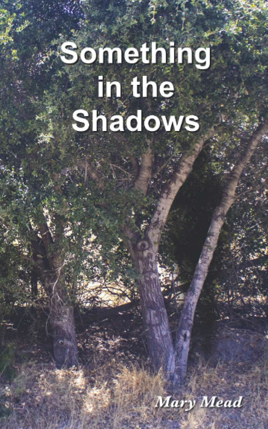 Something in the Shadows poster