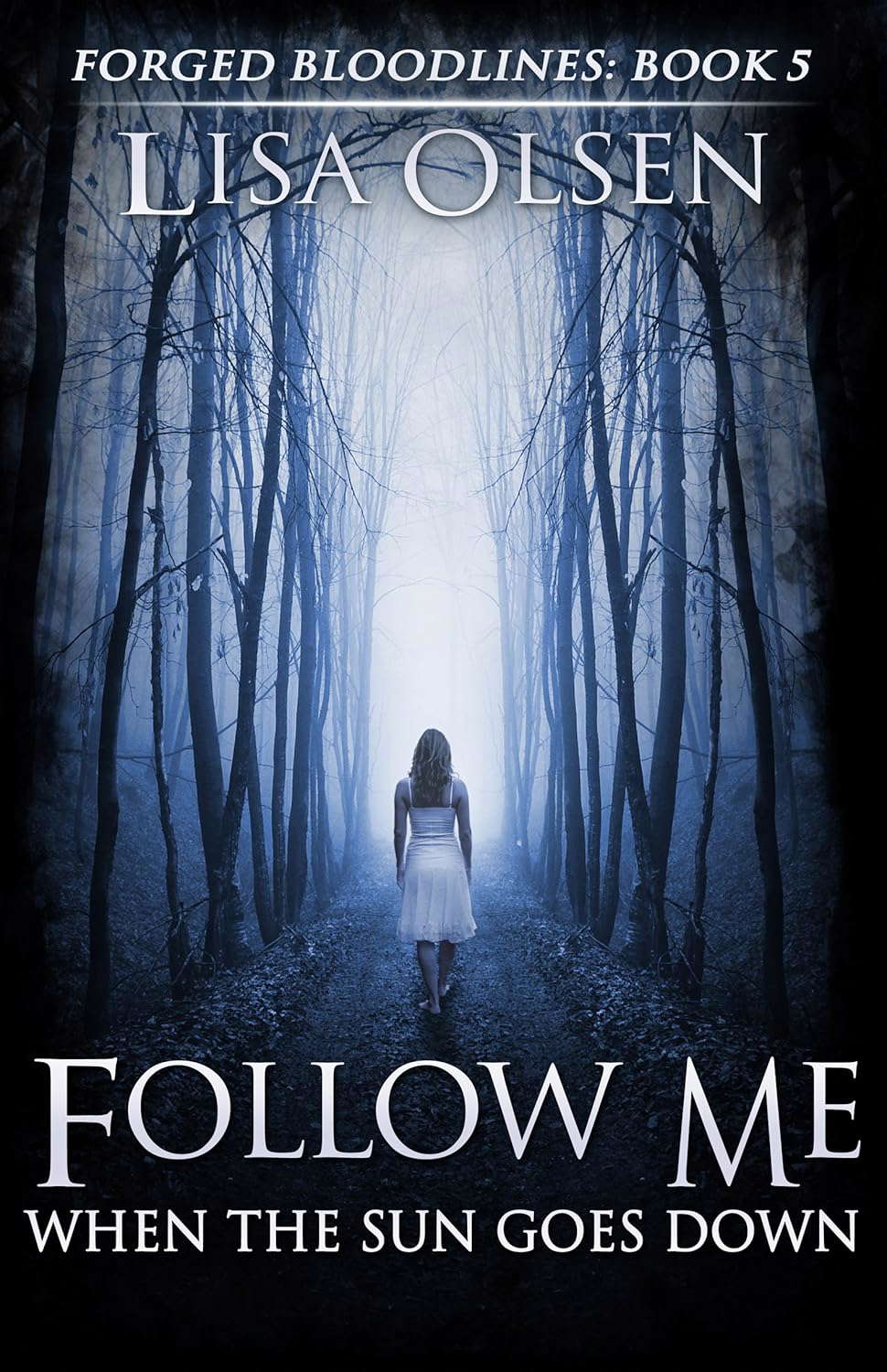 Follow Me When the Sun Goes Down (Forged Bloodlines Book 5) poster