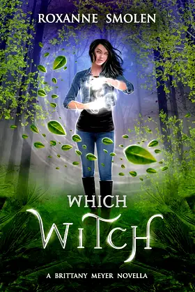 Which Witch (The Brittany Meyer Series Book 1) poster