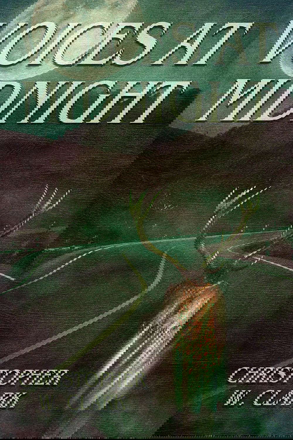 Voices At Midnight: Tales of Horror and Madness poster