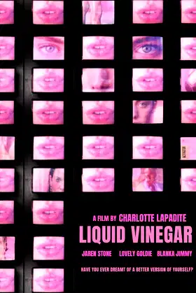 Liquid Vinegar poster