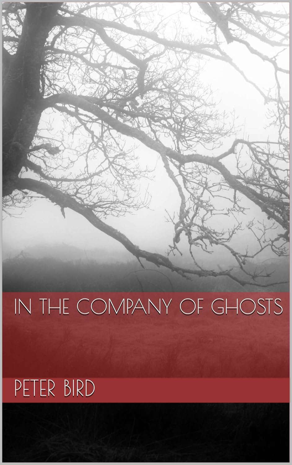 In the Company of Ghosts poster