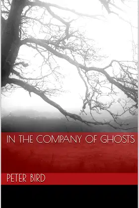 In the Company of Ghosts poster