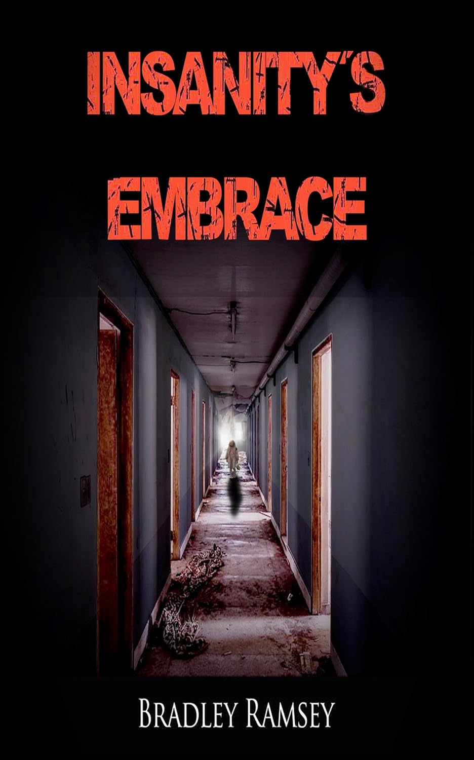 Insanity's Embrace poster