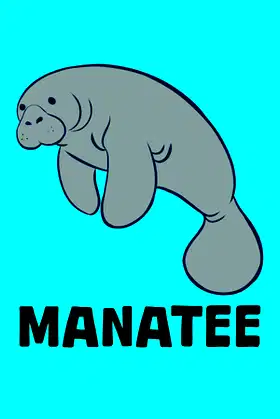 Manatee poster