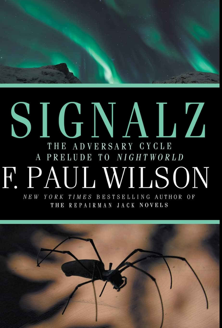 Signalz poster