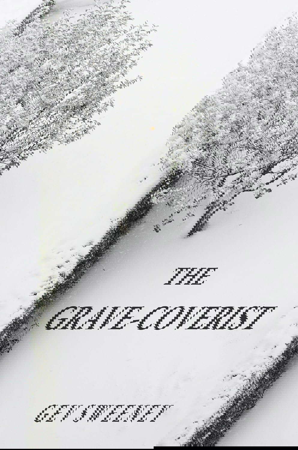 The Grave-Coverist poster