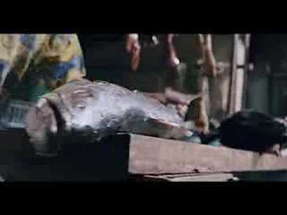 Primeval - Official Trailer poster