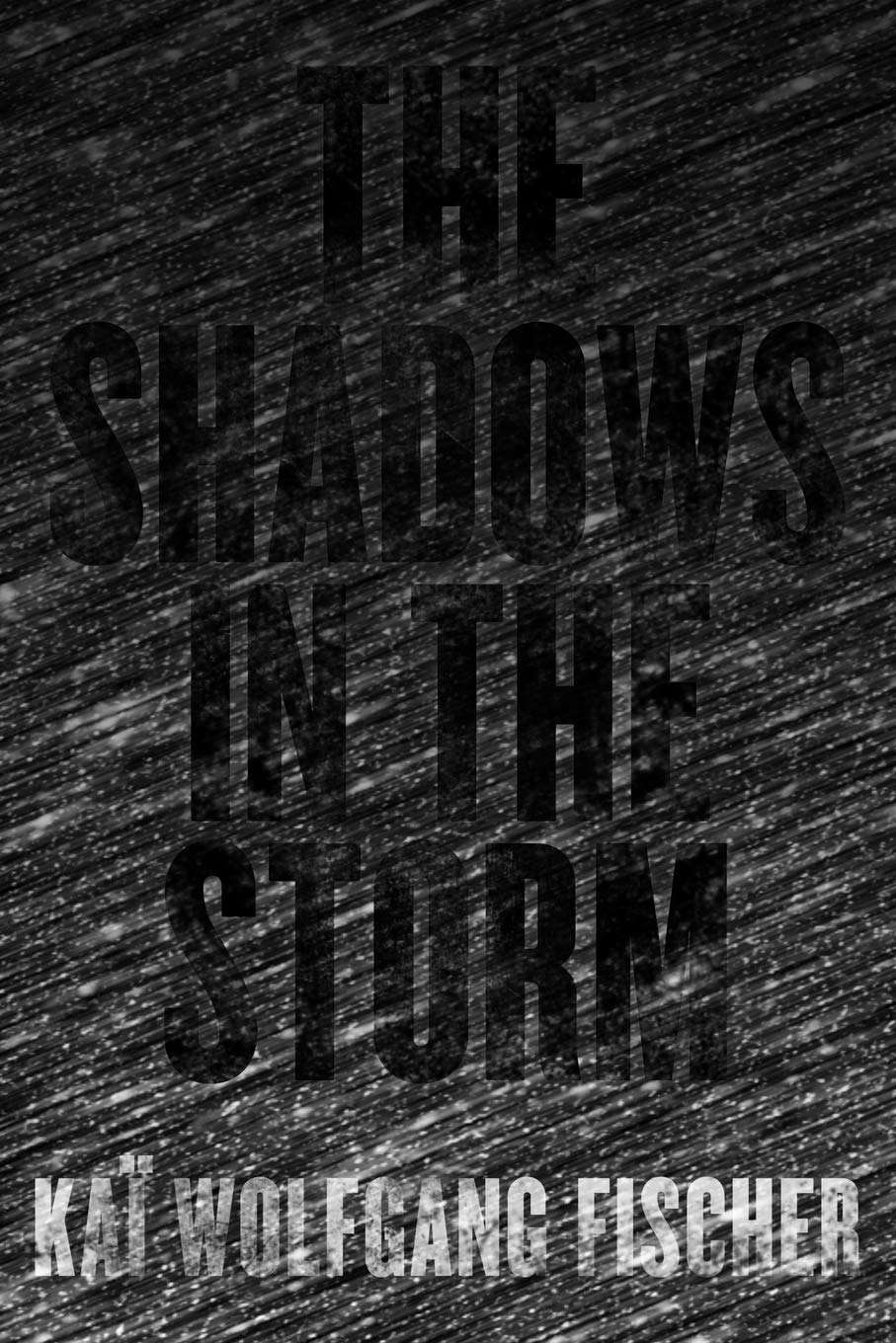 The Shadows in the Storm poster