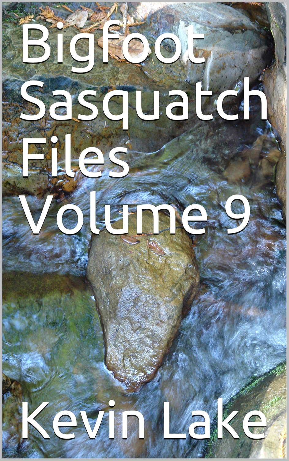 Bigfoot Sasquatch Files Volume 9 poster