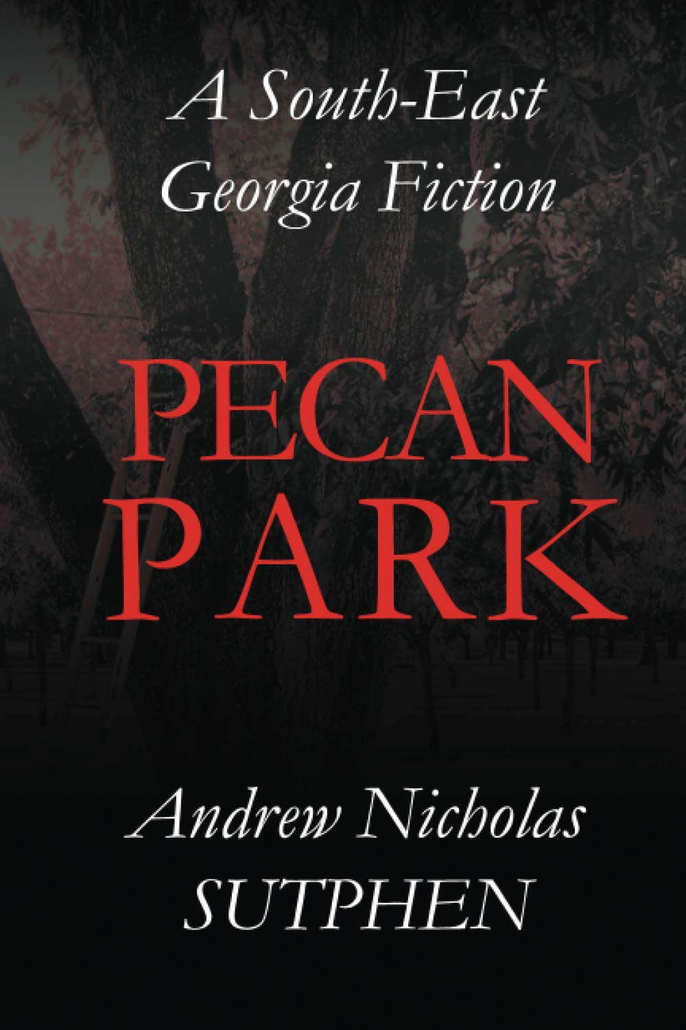 PECAN PARK poster