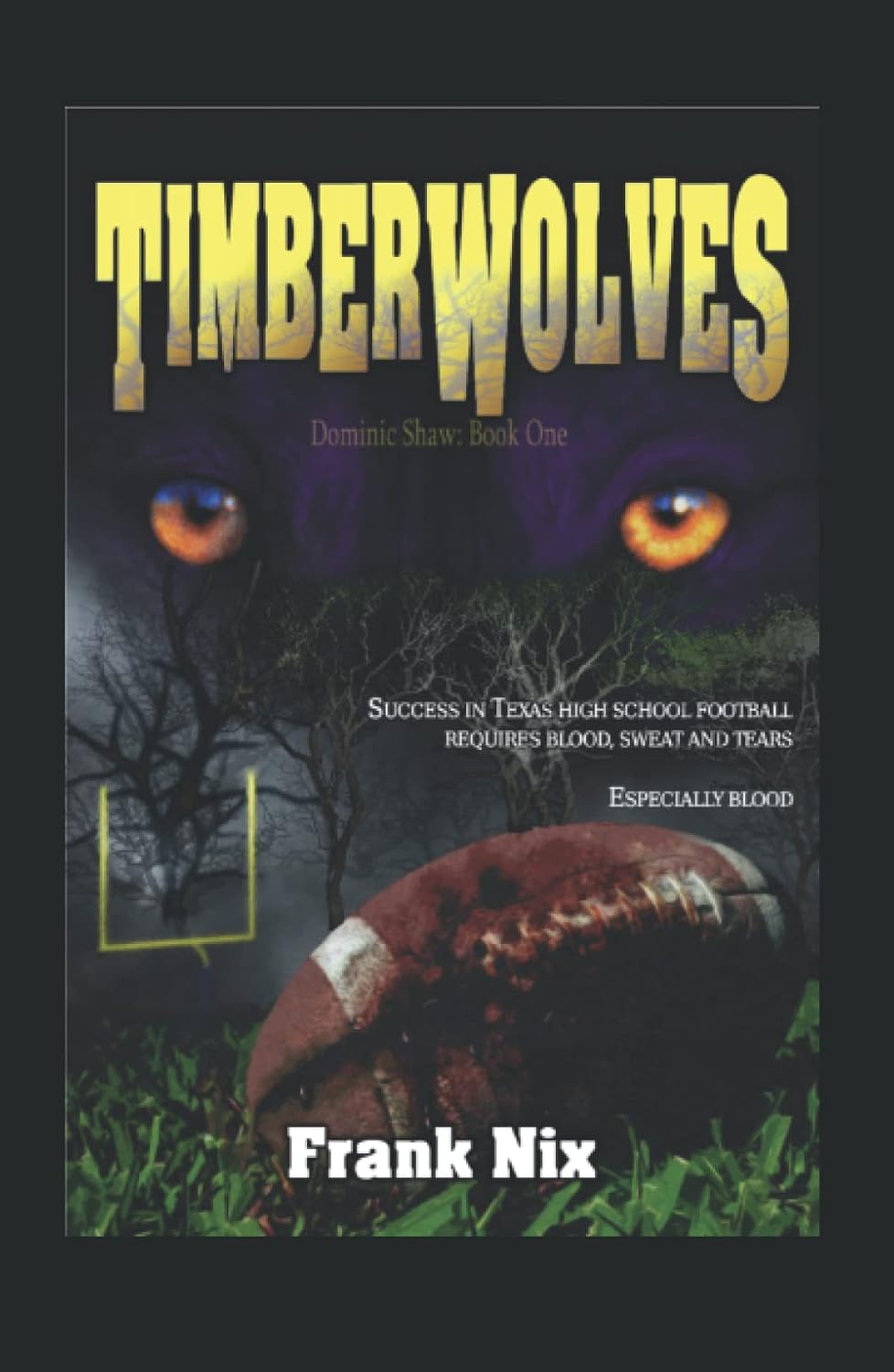 Timberwolves poster