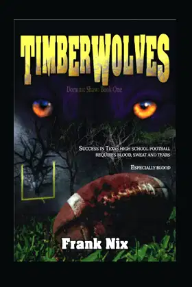 Timberwolves poster