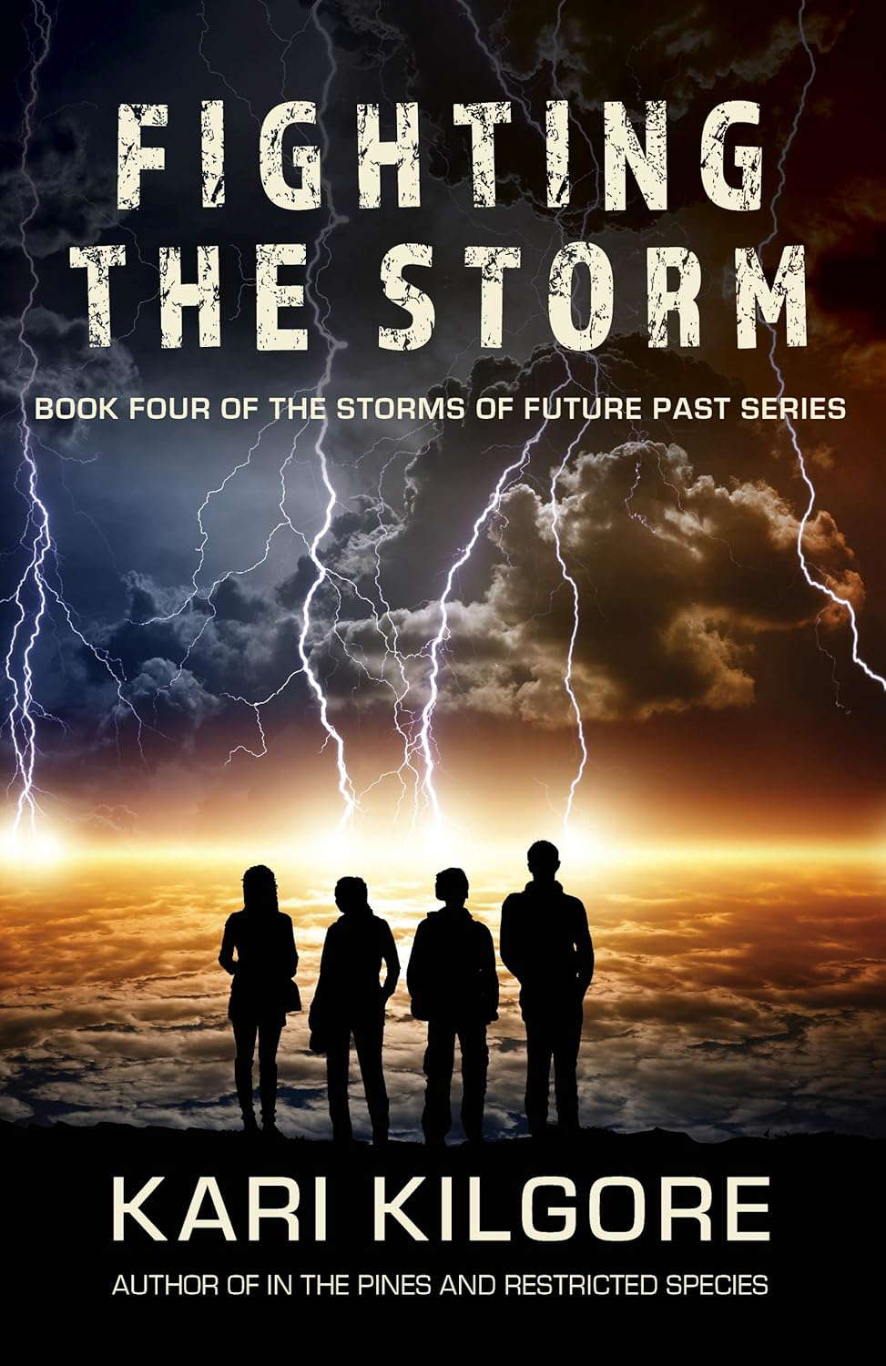 Fighting the Storm (The Storms of Future Past Series Book 4) poster
