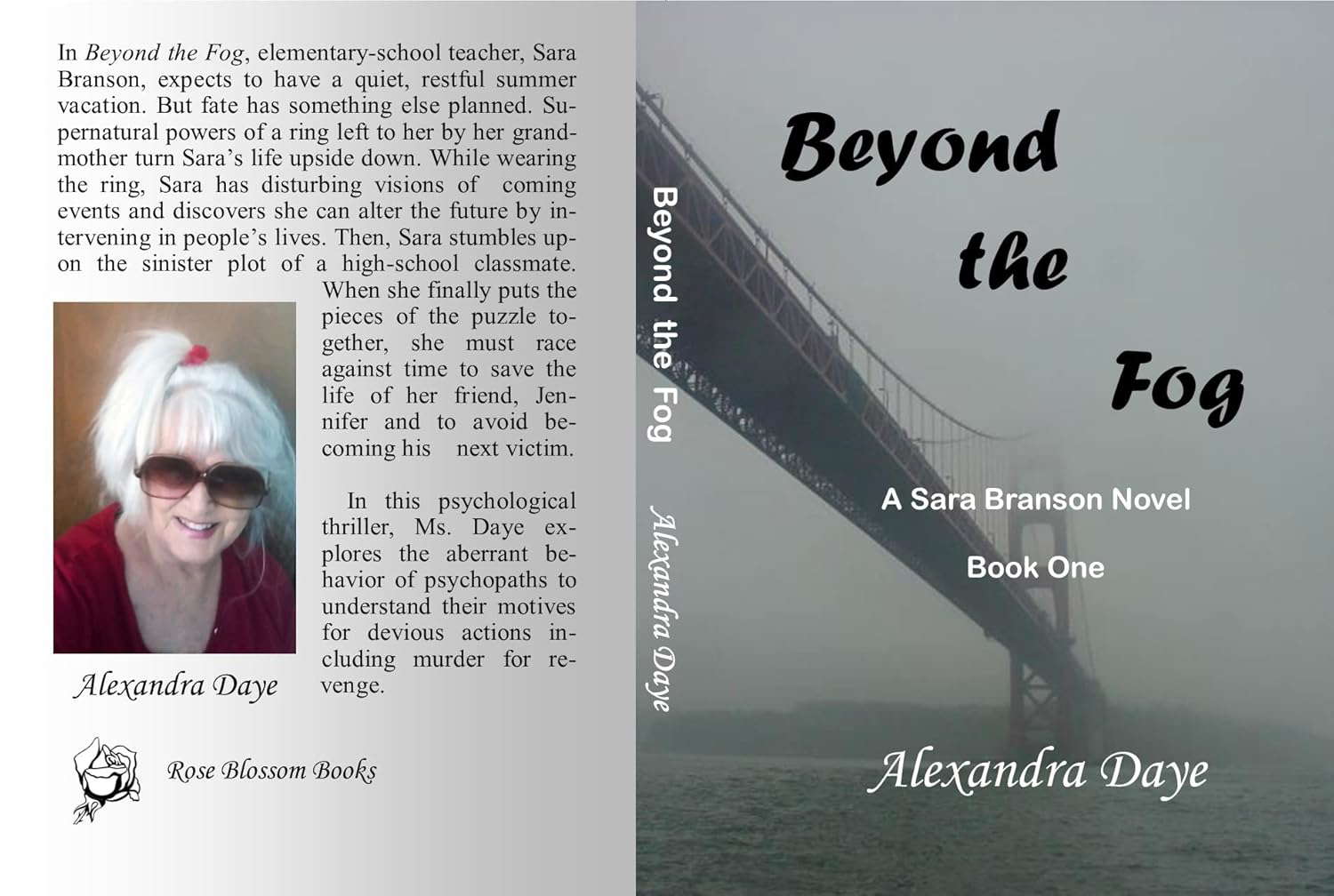 Beyond the Fog (Beyond--Sara Branson mystery novels Book 1) poster